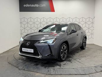  Voir d&eacute;tails -Lexus UX 250h 4WD Executive &agrave; Toulouse (31)
