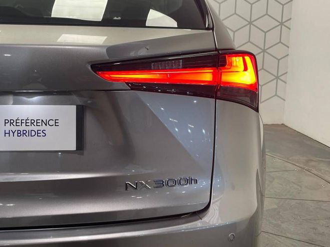 Lexus NX 300h 2WD Pack gris de 2020
