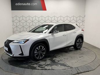  Voir d&eacute;tails -Lexus UX 250h 4WD Executive &agrave; Toulouse (31)