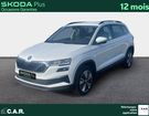 Skoda Karoq 2.0 TDI 116 ch SCR DSG7 Business &agrave; Bayonne (64)