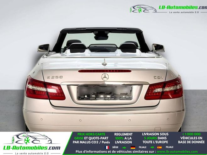 Mercedes Classe E 250 CDI BVA Argent� M�tallique de 2012