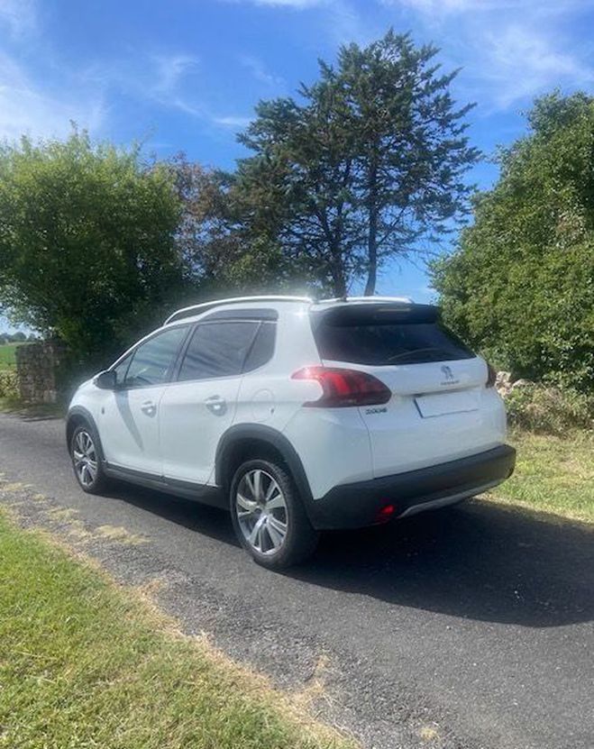 Peugeot 2008 active business 100 CV Blanc de 2019
