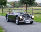 Austin healey 3000 MKI à Londerzeel (18) Austin healey 3000 MKI à Londerzeel (18)