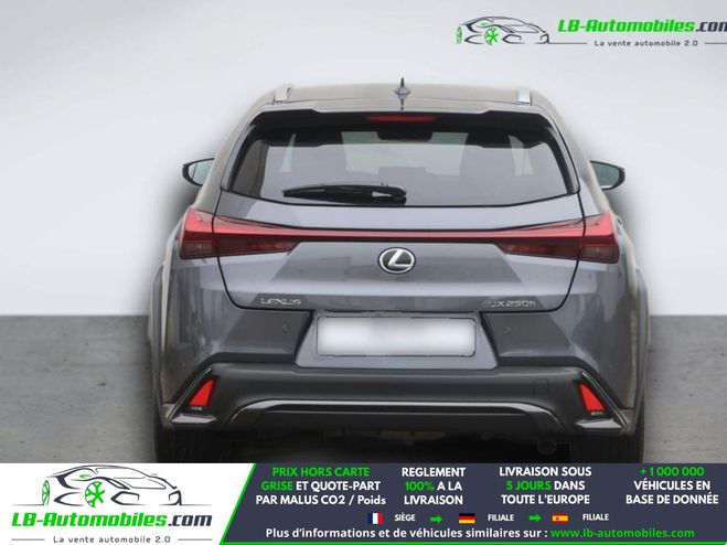 Lexus UX 250h 2WD Gris M�tallique de 2024