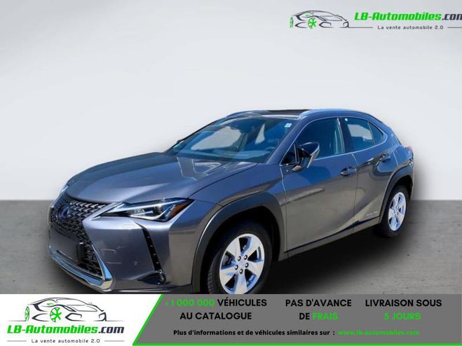 Lexus UX 300e Gris Peinture m�tallis�e de 2021