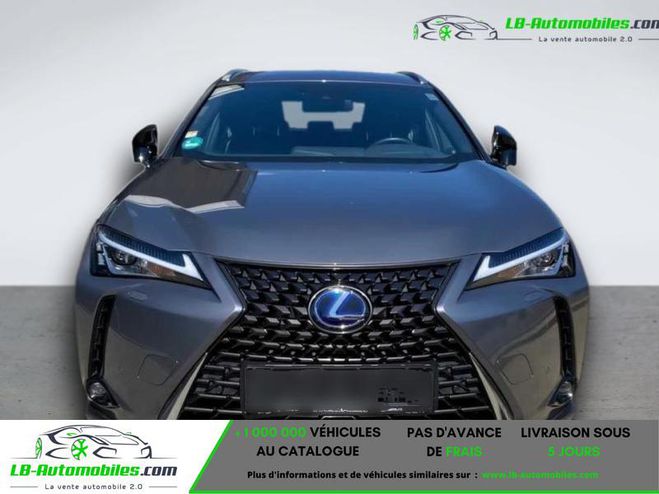 Lexus UX 300e Gris Peinture m�tallis�e de 2021
