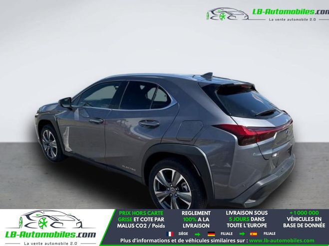 Lexus UX 300e Gris de 2022