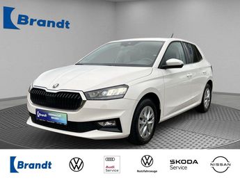 Voir d&eacute;tails -Skoda Fabia 1.0 TSI Selection LED EINPARKH. SMART LI &agrave; Leimbach (68)