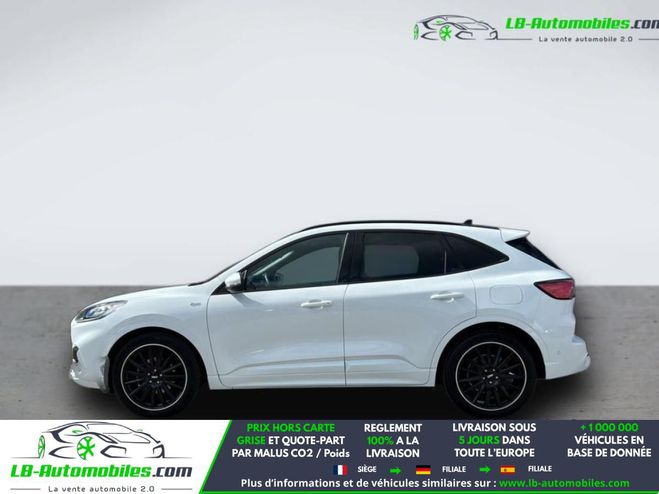 Ford Kuga 2.0 EcoBlue 150 mHEV BVM Blanc de 2021