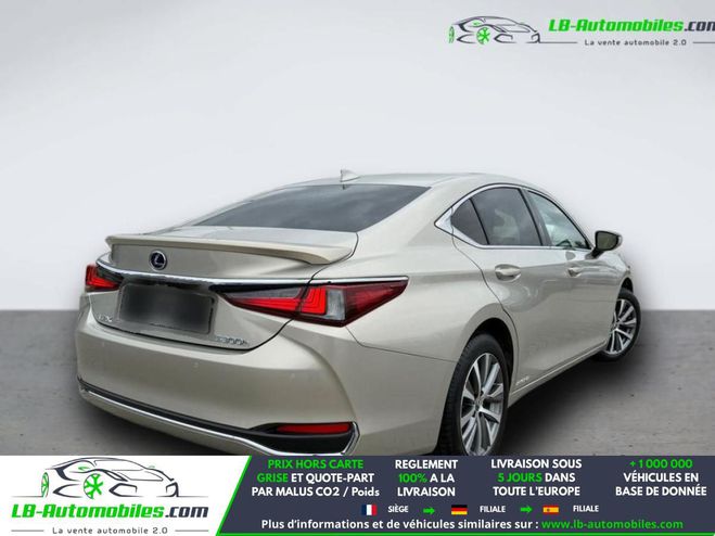 Lexus ES 300h Gris de 2021