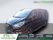 Agrandir Agrandir