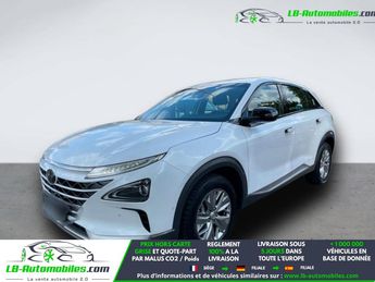  Voir d&eacute;tails -Hyundai Nexo Hydrogene 163 ch &agrave; Beaupuy (31)