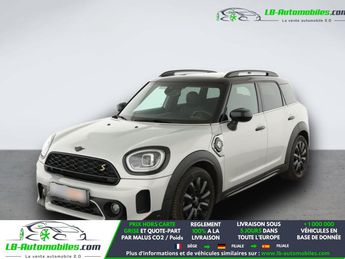 Mini Paceman