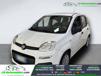  Voir d&eacute;tails -Fiat Panda 1.2 69 ch BVM &agrave; Beaupuy (31)
