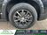 Agrandir Agrandir