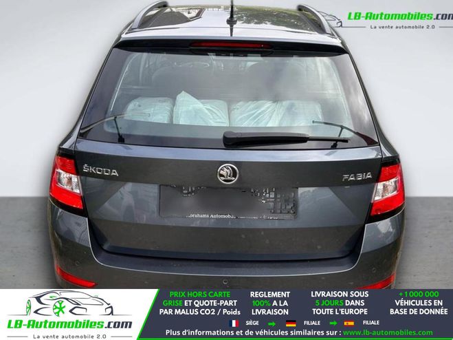 Skoda Fabia 1.0 TSI 95 ch BVM Gris M�tallique de 2019