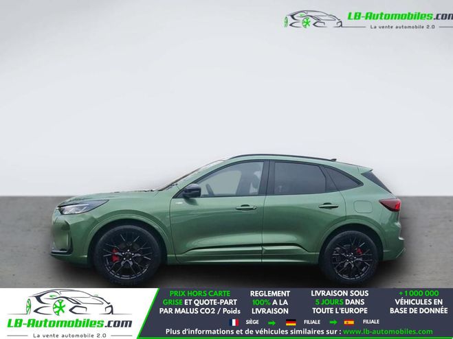 Ford Kuga 1.5 EcoBoost 150 BVA Vert M�tallique de 2026