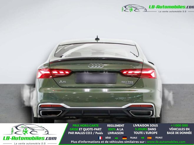 Audi A5 50 TDI 286 BVA Quattro Vert M�tallique de 2023