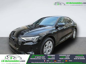  Voir d&eacute;tails -Audi E-Tron 50 quattro 313 ch &agrave; Beaupuy (31)