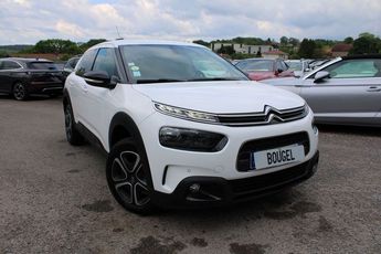  Voir d&eacute;tails -Citroen C4 Cactus II BUSINESS BLUE HDI 100 CV GPS 3D CLIM  &agrave; Xertigny (88)
