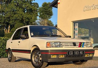  Voir d&eacute;tails -Peugeot 309 gti restaur�e &agrave; Saint-H�and (42)