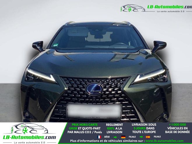 Lexus UX 250h 2WD Vert M�tallique de 2020