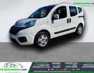 Fiat Qubo 1.4 77 &agrave; Beaupuy (31)