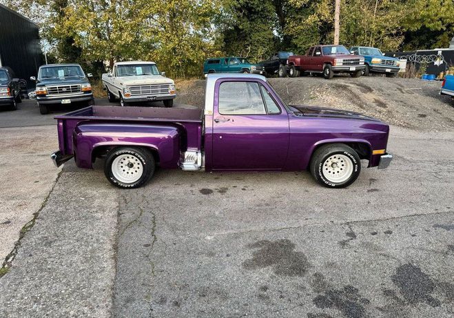 Chevrolet C10 stepside 5.0 v8 305 ci  de 1981