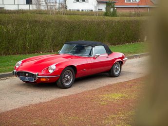  Voir d&eacute;tails -Jaguar E-Type S3 V12 OTS &agrave; Zaventem (19)