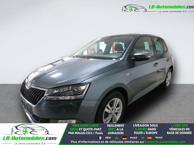 Skoda Fabia 1.0 TSI 110 ch BVM Gris M�tallique de 2020