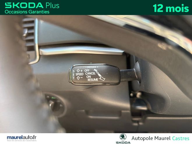 Skoda Karoq Karoq 2.0 TDI 116 ch SCR DSG7 Business 5 White de 2022