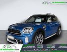 Mini Paceman