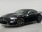 Ford Mustang GT V8 5.0 Shelby * 466 ch * BVA * Caméra à Cenon (33) Ford Mustang GT V8 5.0 Shelby * 466 ch * BVA * Caméra à Cenon (33)