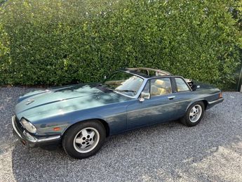 voir détails -Jaguar XJS C XJS-C à Malle (23) Voir détails -Jaguar XJS C XJS-C à Malle (23)