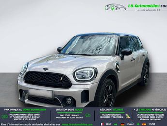 Mini Paceman