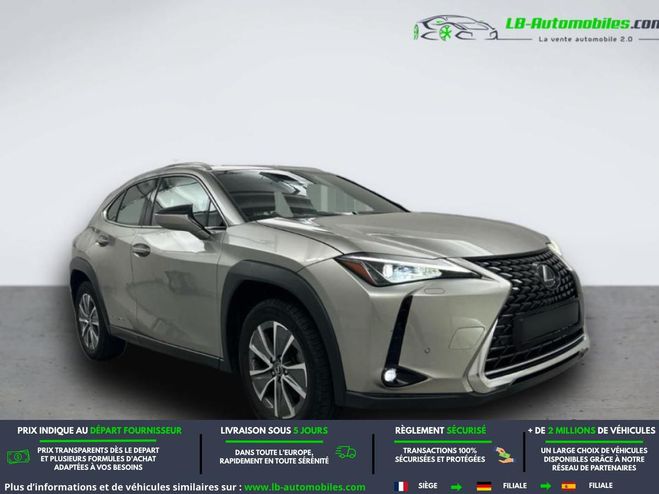 Lexus UX 300e Gris de 2022