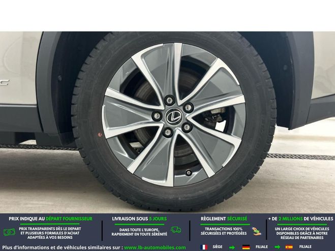 Lexus UX 300e Gris de 2022