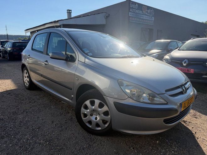 Peugeot 307 1.6 i 110 cv Gris de 2004