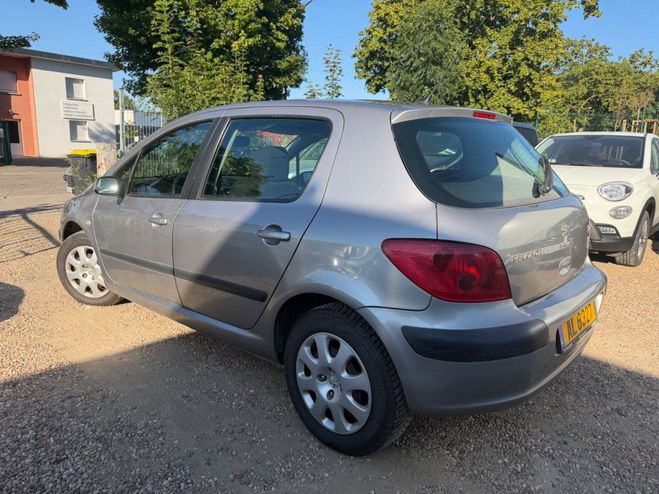 Peugeot 307 1.6 i 110 cv Gris de 2004