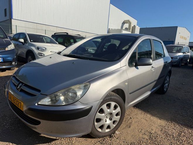 Peugeot 307 1.6 i 110 cv Gris de 2004