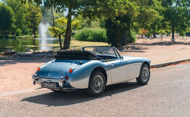 Austin healey 3000 BJ8 Grosse r�novation Boite 5 Fiabilis� Bleu de 1967