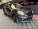 Mini Paceman