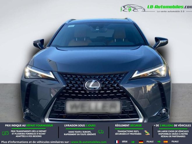 Lexus UX 250h 2WD Gris de 2023