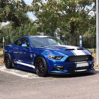  Voir d&eacute;tails -Ford Mustang Shelby SUPER SNAKE 50TH &agrave; Fameck (57)