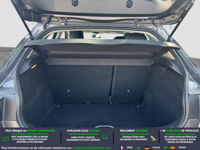 Citroen C4 Cactus BlueHDi 100 BVM Gris de 2018