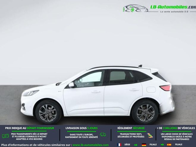Ford Kuga 2.0 EcoBlue 190 BVA Blanc de 2021