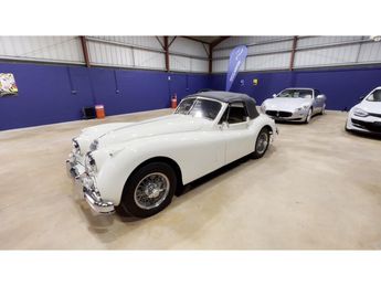  Voir d&eacute;tails -Jaguar XK 140 XK SE &agrave; �chir� (79)