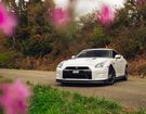 Nissan GT R GTR à Aigné (72) Nissan GT R GTR à Aigné (72)