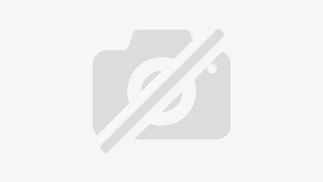 Land rover Range Rover Velar 2.0 P400e 404ch PHEV Dynamic SE AW 2024 d'occasion a Villeneuve-d'Ascq (59)