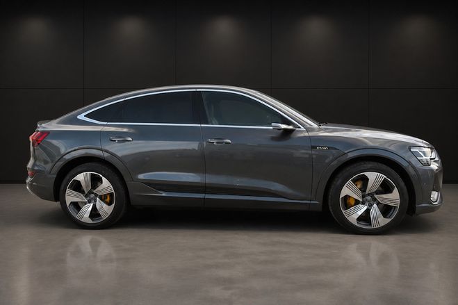 Audi E-Tron 50 quattro S line Gris de 2020